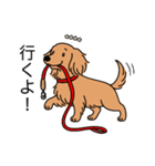 名前入りダックスロングゴールド（個別スタンプ：11）