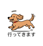 名前入りダックスロングゴールド（個別スタンプ：13）