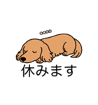 名前入りダックスロングゴールド（個別スタンプ：16）