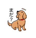 名前入りダックスロングゴールド（個別スタンプ：20）
