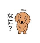 名前入りダックスロングゴールド（個別スタンプ：22）