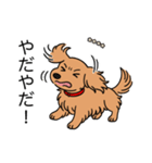 名前入りダックスロングゴールド（個別スタンプ：23）