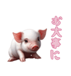 [お大事に専用]マイクロブタ達（個別スタンプ：1）