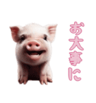 [お大事に専用]マイクロブタ達（個別スタンプ：3）