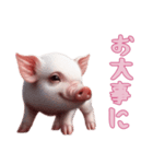 [お大事に専用]マイクロブタ達（個別スタンプ：6）
