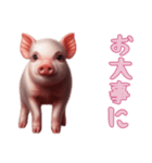 [お大事に専用]マイクロブタ達（個別スタンプ：8）