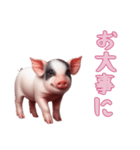 [お大事に専用]マイクロブタ達（個別スタンプ：9）