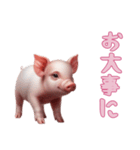 [お大事に専用]マイクロブタ達（個別スタンプ：11）