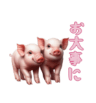 [お大事に専用]マイクロブタ達（個別スタンプ：12）