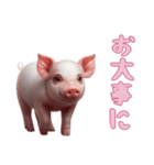 [お大事に専用]マイクロブタ達（個別スタンプ：13）