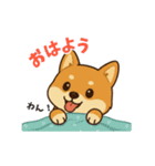 柴犬ムギの日常スタンプ2（個別スタンプ：1）