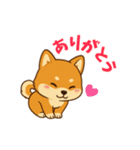 柴犬ムギの日常スタンプ2（個別スタンプ：3）