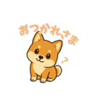 柴犬ムギの日常スタンプ2（個別スタンプ：4）