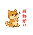 柴犬ムギの日常スタンプ2（個別スタンプ：7）