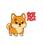 柴犬ムギの日常スタンプ2（個別スタンプ：9）