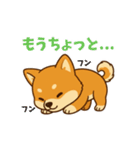 柴犬ムギの日常スタンプ2（個別スタンプ：11）