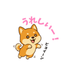 柴犬ムギの日常スタンプ2（個別スタンプ：12）