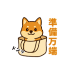 柴犬ムギの日常スタンプ2（個別スタンプ：14）