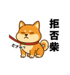 柴犬ムギの日常スタンプ2（個別スタンプ：16）