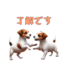 [了解です専用]ジャックラッセルテリア（個別スタンプ：5）