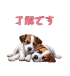 [了解です専用]ジャックラッセルテリア（個別スタンプ：11）