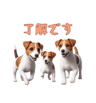 [了解です専用]ジャックラッセルテリア（個別スタンプ：13）