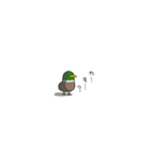 カモかも。4（個別スタンプ：8）