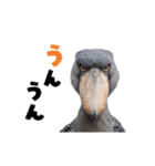 動く！ハシビロコウ（個別スタンプ：7）