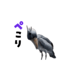 動く！ハシビロコウ（個別スタンプ：8）