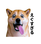 爆笑セリフ40連発！（個別スタンプ：3）