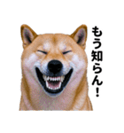 爆笑セリフ40連発！（個別スタンプ：4）
