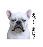爆笑セリフ40連発！（個別スタンプ：5）