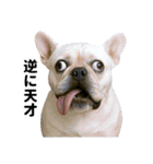 爆笑セリフ40連発！（個別スタンプ：8）