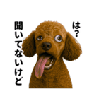 爆笑セリフ40連発！（個別スタンプ：9）
