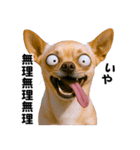 爆笑セリフ40連発！（個別スタンプ：13）
