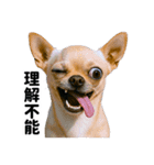 爆笑セリフ40連発！（個別スタンプ：16）