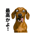 爆笑セリフ40連発！（個別スタンプ：20）