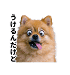 爆笑セリフ40連発！（個別スタンプ：21）
