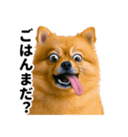 爆笑セリフ40連発！（個別スタンプ：22）