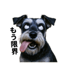 爆笑セリフ40連発！（個別スタンプ：26）