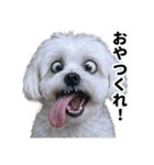 爆笑セリフ40連発！（個別スタンプ：30）