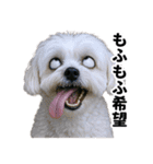 爆笑セリフ40連発！（個別スタンプ：32）