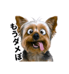爆笑セリフ40連発！（個別スタンプ：34）