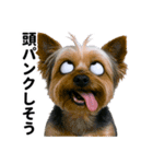 爆笑セリフ40連発！（個別スタンプ：36）