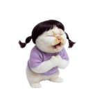 三つ編みの可愛い白猫 (NT)（個別スタンプ：21）