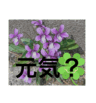 あと少しね（個別スタンプ：2）