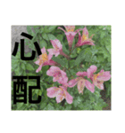 あと少しね（個別スタンプ：5）