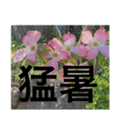 あと少しね（個別スタンプ：7）