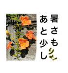 あと少しね（個別スタンプ：8）