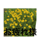 あと少しね（個別スタンプ：10）